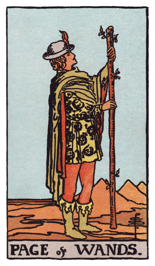 Page of Wands tarot card
