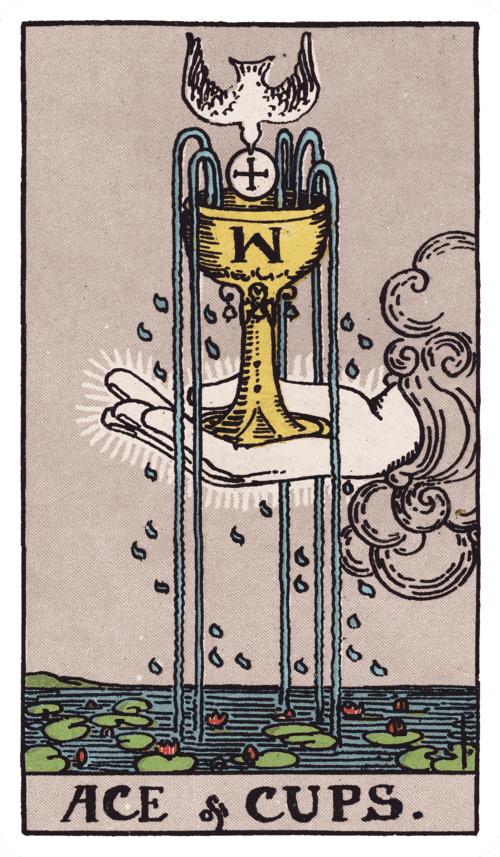 Ace of Cups tarot card