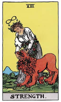 Strength tarot card (reversed)